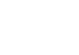 DrFalk logo